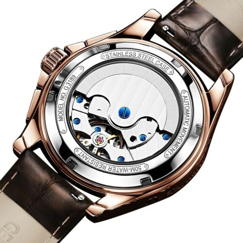 OUPINKE luxury watch For Man Top Brand Mechanical Wrist Watch Sapphire Glass
