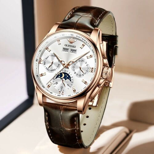 OUPINKE luxury watch For Man Top Brand Mechanical Wrist Watch Sapphire Glass